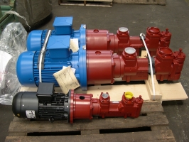 Pumps for lube oil system